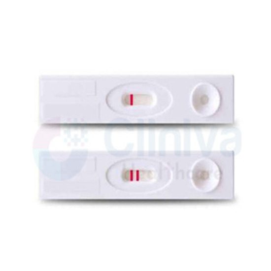 Pregnancy Test Kit