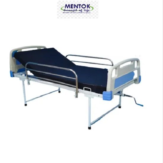 Semi Fowler Bed With ABS Panel And SS Railing