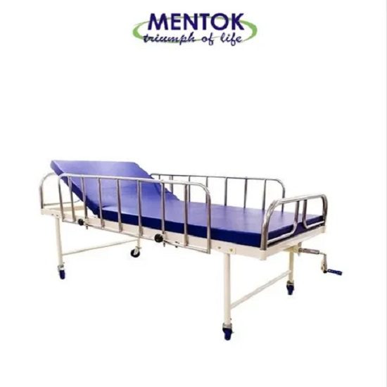 Semi Fowler Bed With Ss side railing